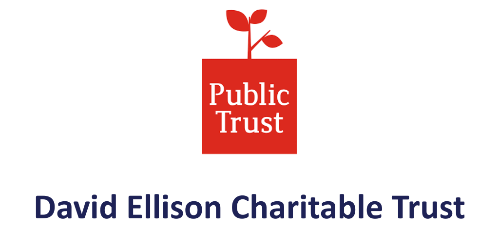 David Ellison Charitable Trust David Ellison Charitable Trust